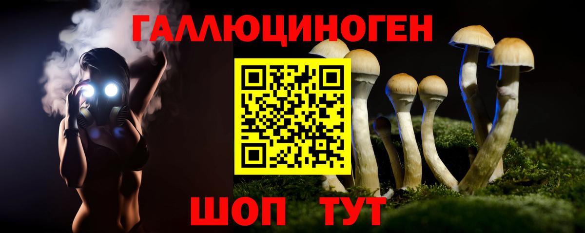 где продают наркотики  Вход с VPN  Таганрог  Псилоцибиновые грибы мухоморы  Галлюциногенные грибы GOLDEN TEACHER 